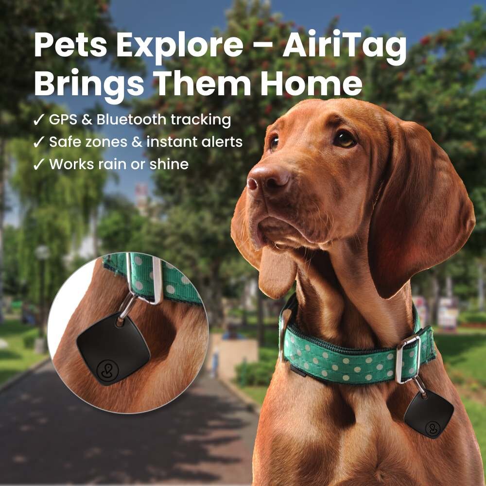 AiriTag image